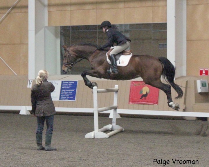 Navarone (Olympic Jus de Pomme x Armstrong)