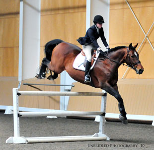 Navarone (Olympic Jus de Pomme x Armstrong)