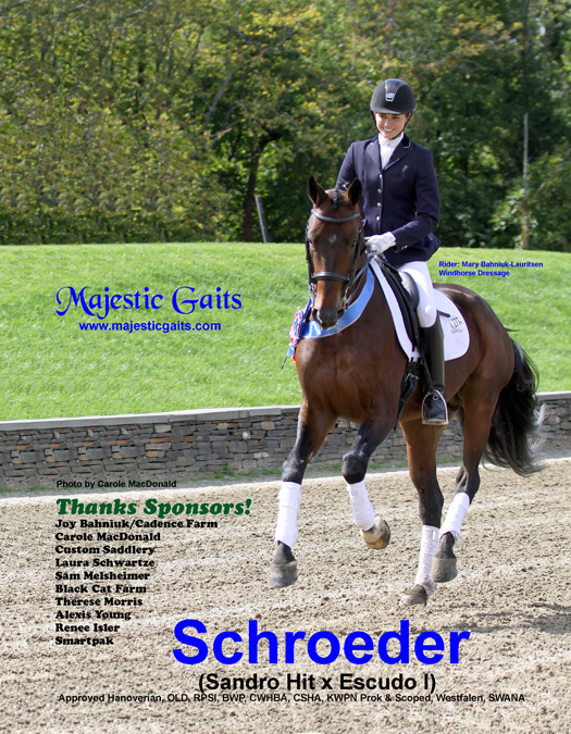 Schroeder (Sandro Hit x Escudo I)