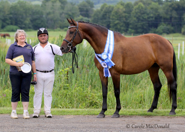 Florette MG (Schroeder x Silvano x Flemmingh)